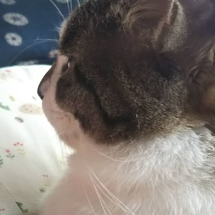 Dc08ae21 7e34 4110 b19f 5026cee55401 1604633932251