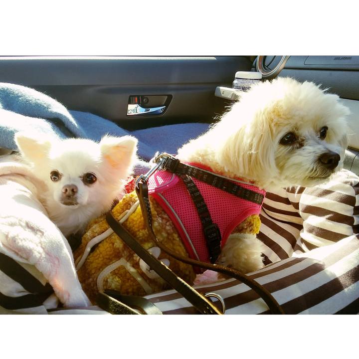 Dc08caf9 fb80 4773 afcb ec99fbeefa13 1645612162595