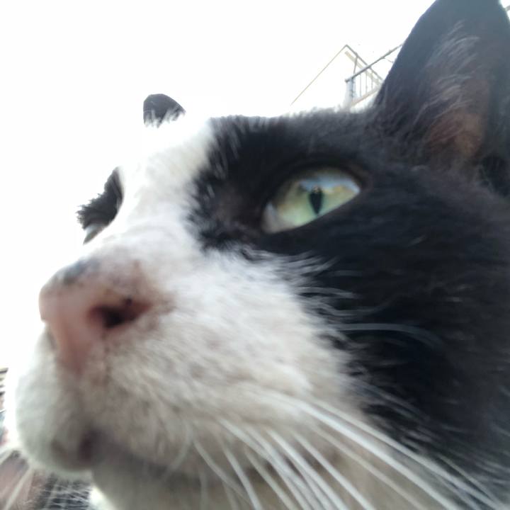 Dc09114b 96d0 470a 9125 987f35e3a1b6 1527940763491