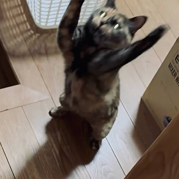 Dc093c7c 97e0 4edb 9ac5 ae0c73c46f4e 1747512030738