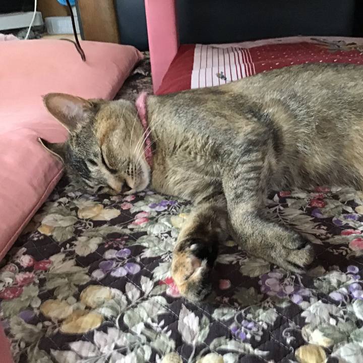 Dc093d99 cb77 4845 b543 52f5096ec6b4 1592273323127