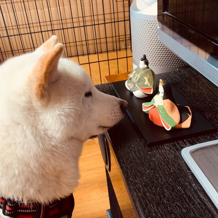 Dc0944a9 9e6c 4dbe 9910 1bbbce644c87 1614559152551