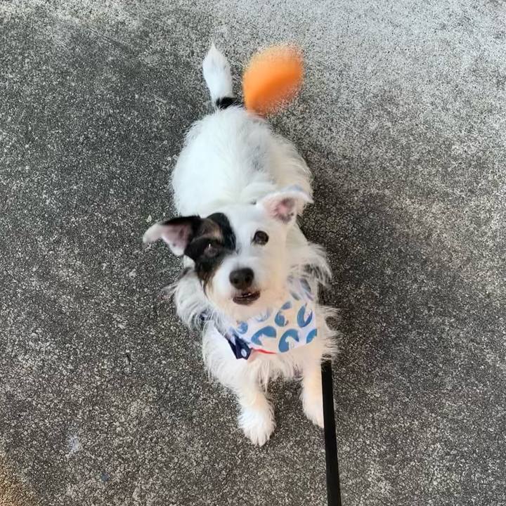 Dc09490e ed0f 462d 8a23 f97b13850bde 1663142694624