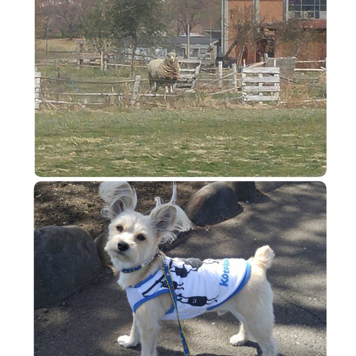 Dc094af0 dcd8 451b 90c3 3ac20df2ce5c 1522499124686