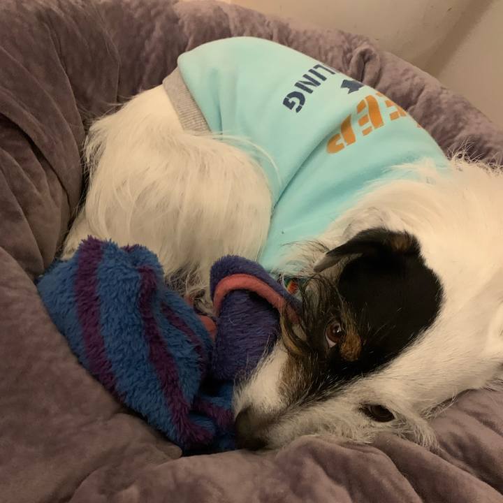 Dc09676f 638e 47df ab80 1162af24ae3c 1645794140593