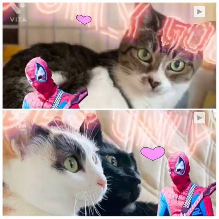 Dc099055 594a 4522 94a6 1d54f62f3b02 1653015267188