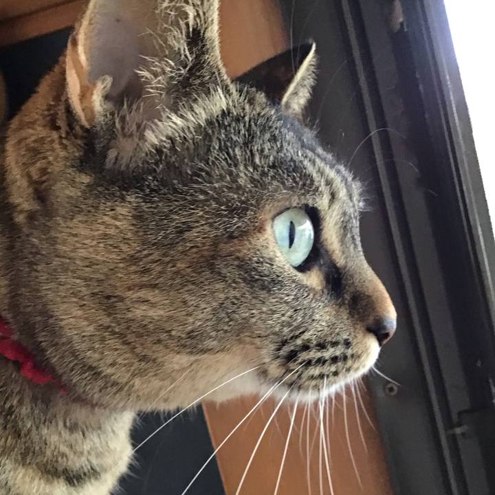 Dc09cca2 f970 4aa9 ba7e 7988c99e7598 1685164220667