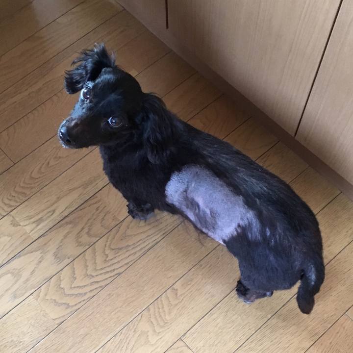 Dc09cf06 d8c9 41b5 8a1c a9ed10a2249f 1548628658022