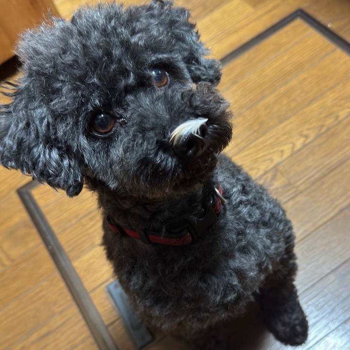 Dc09db22 0ff5 4599 8a2b edde636c8b20 1749380792839