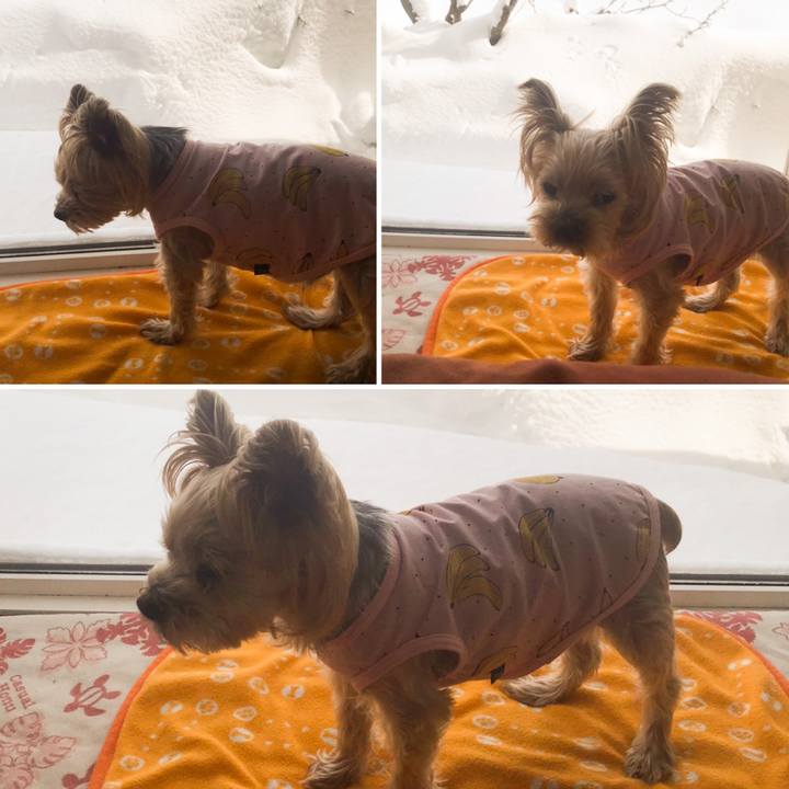 Dc09f29d f422 4be9 acf9 8d9184819823 1612864714032