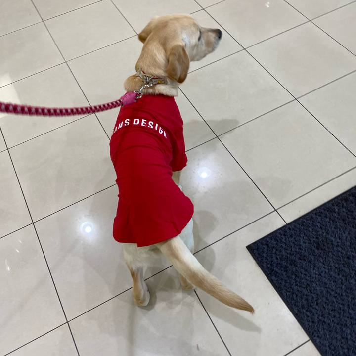 Dc0a3a09 3185 4334 a92b a80ce02205f8 1618216613381