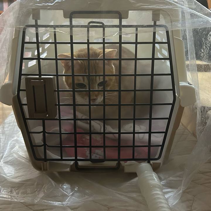 Dc0aa438 2ce7 4b03 a011 329631259446 1677014333596