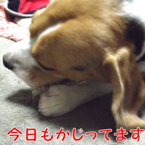 Dc0aa96d d2f5 4a12 8644 7c691f2f67fa 1700697270694