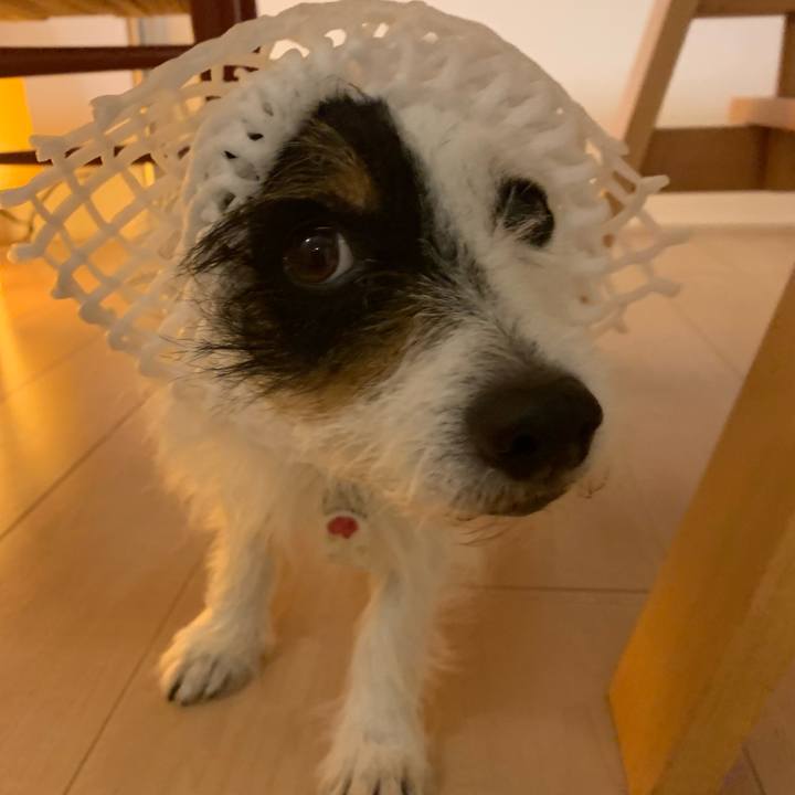 Dc0abc51 7f30 47ff bf93 95421ef3025b 1626010202238