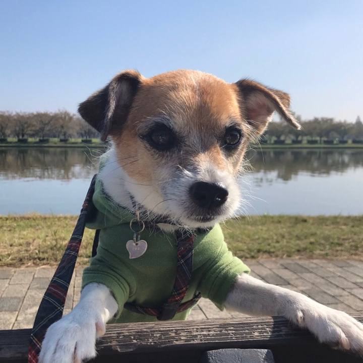 Dc0ae9ff 5175 4976 b4b7 9194828c619c 1572588410873