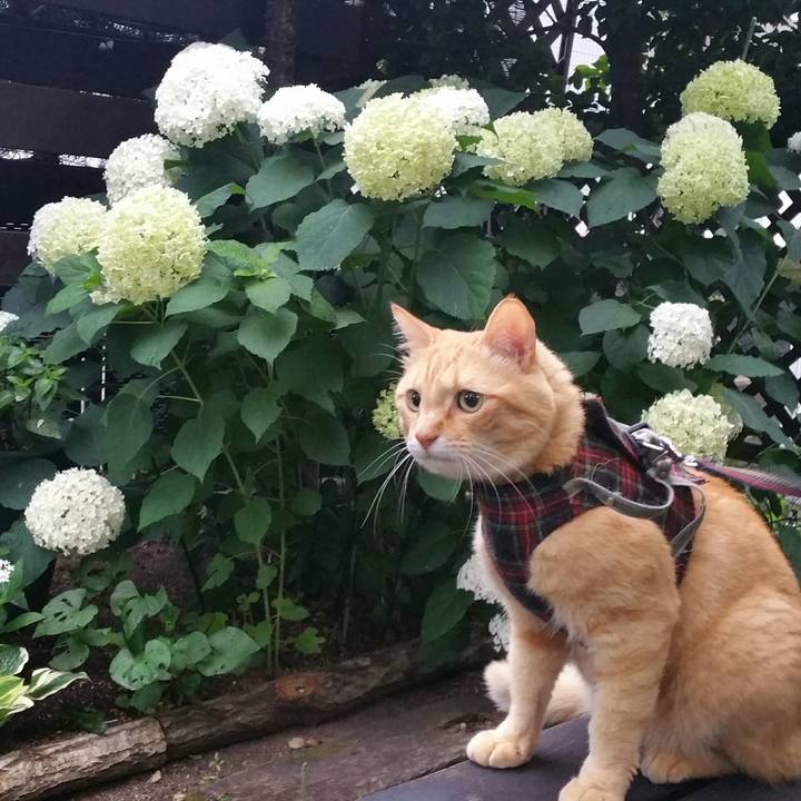 Dc0af6e8 c3b3 44a5 964b 6838645cb254 1531539760554