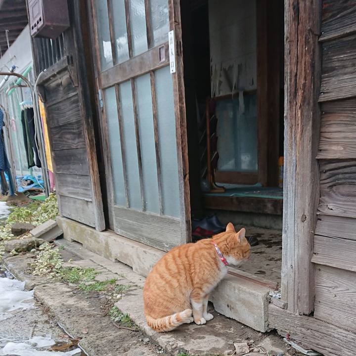 Dc0b0b9f 1744 4367 9e08 97dffbc20ac5 1578030505435