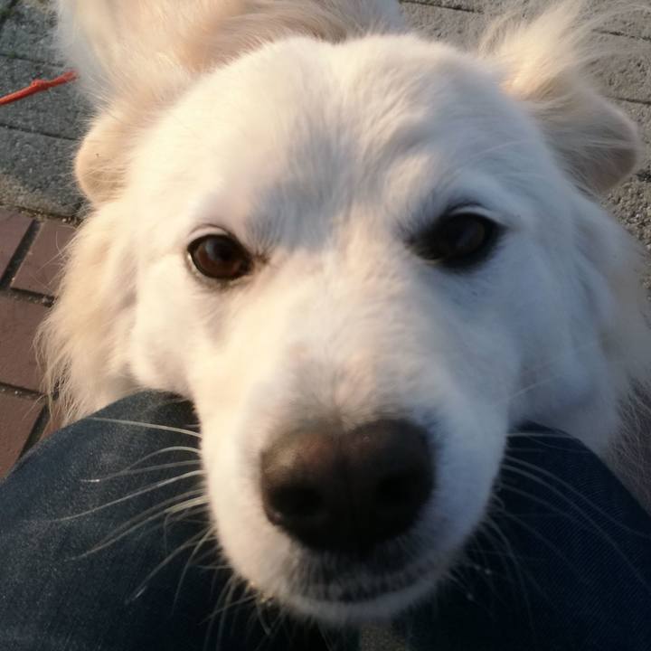 Dc0b73d6 1a01 4ac4 b1a8 7246642a8fa8 1521071446096