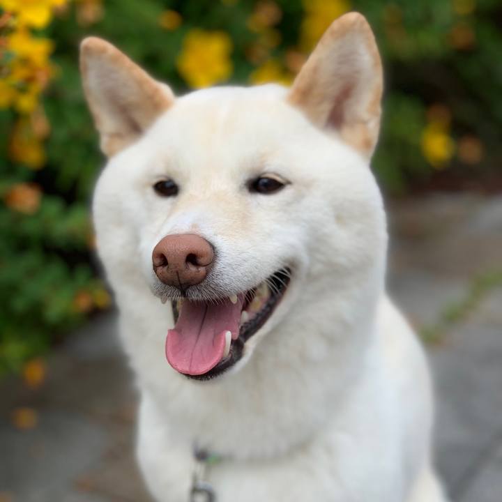 Dc0b86cf 576e 40a6 bf3b 40a53088e184 1560035841665