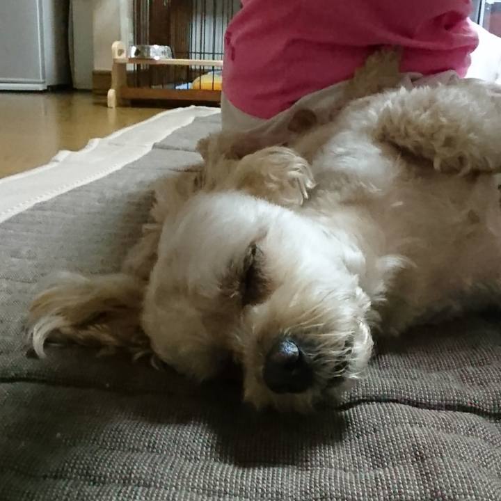 Dc0bdde0 8145 4418 8485 da40447b7136 1596339397335