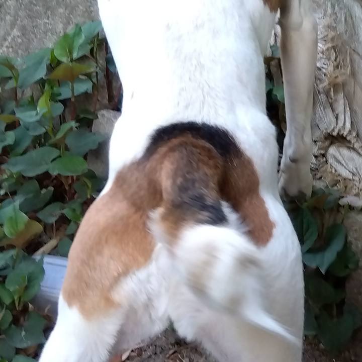 Dc0c1de6 1b73 48db bc0a e17874f47712 1683723859349