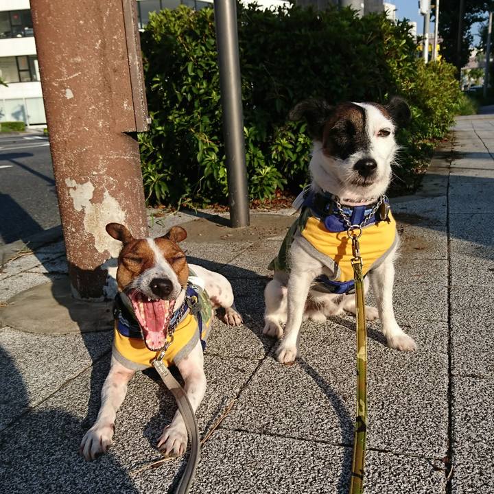 Dc0c3ed4 4413 4548 80b6 57faf1b9b808 1567720266475