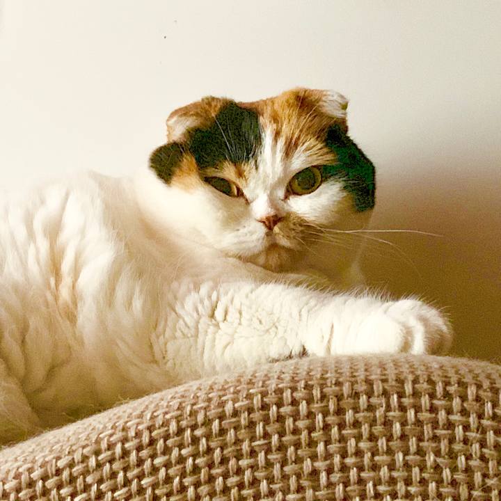 Dc0c4e97 2b4c 4987 94de 509b626f5e8e 1566512315458