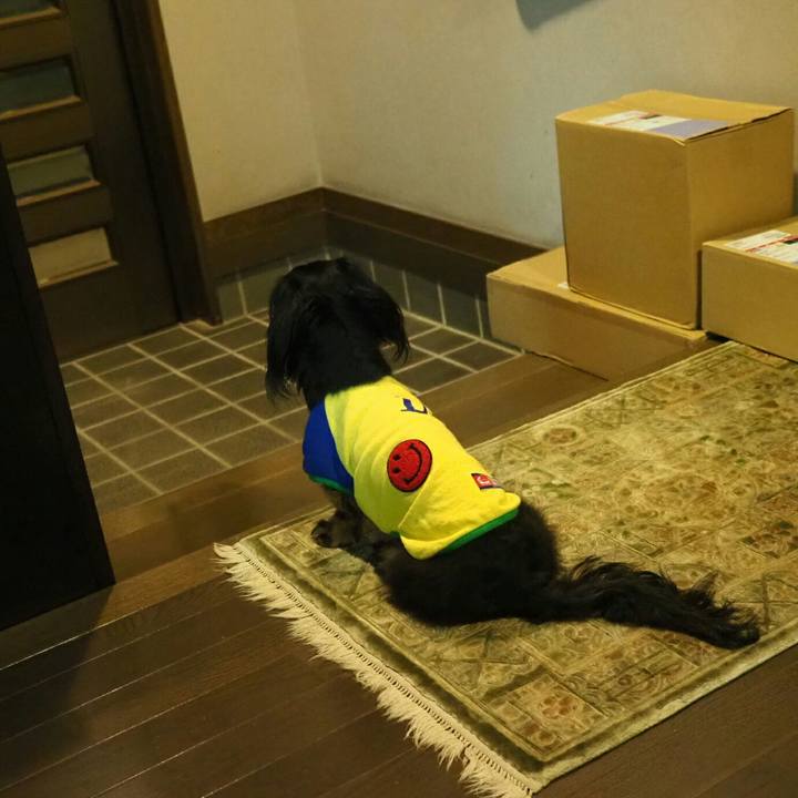 Dc0c76f0 431c 465f 84ef 99d83c56d95b 1558442175245