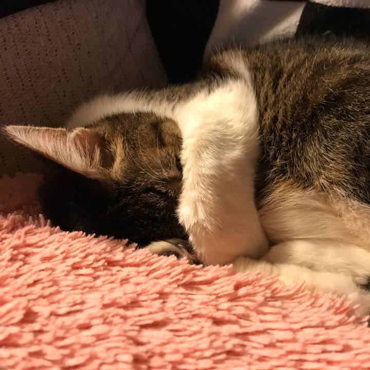 Dc0c9648 64e6 4b24 aca9 c12cf9105e34 1546510018332