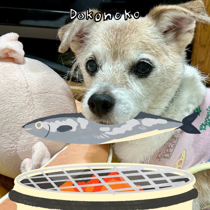 Dc0c9f58 60fe 4081 9d3e f9fe0fb5229e 1761105605209