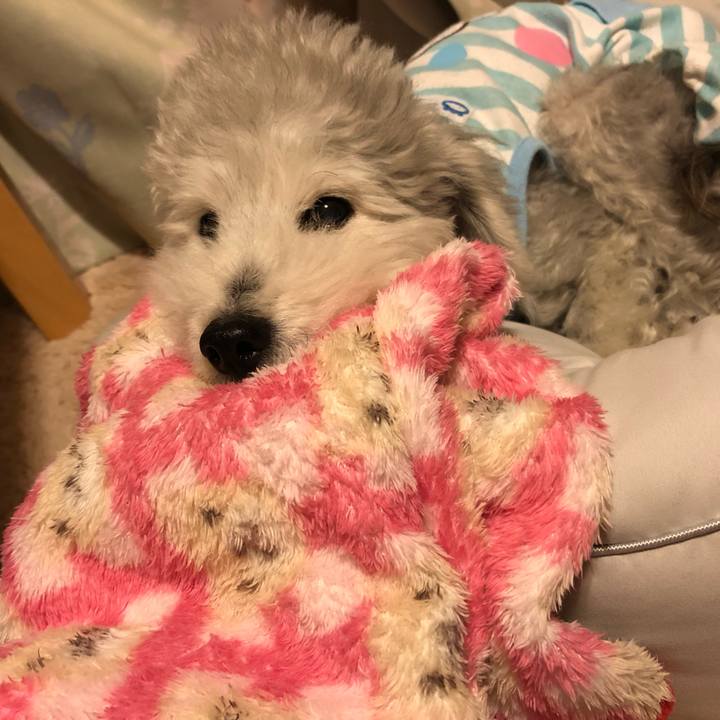 Dc0ca65a 6750 4742 a01b fa4e5246fdfb 1618221637130