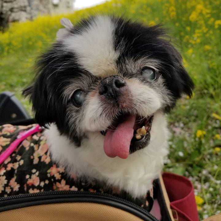 Dc0cb2c0 6f9d 4c67 94da cca40e4af979 1635244115757