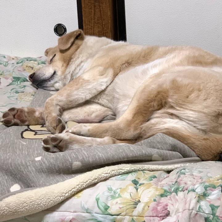 Dc0ce89f ad83 4953 a71f 7ed549a1eef5 1587739897921