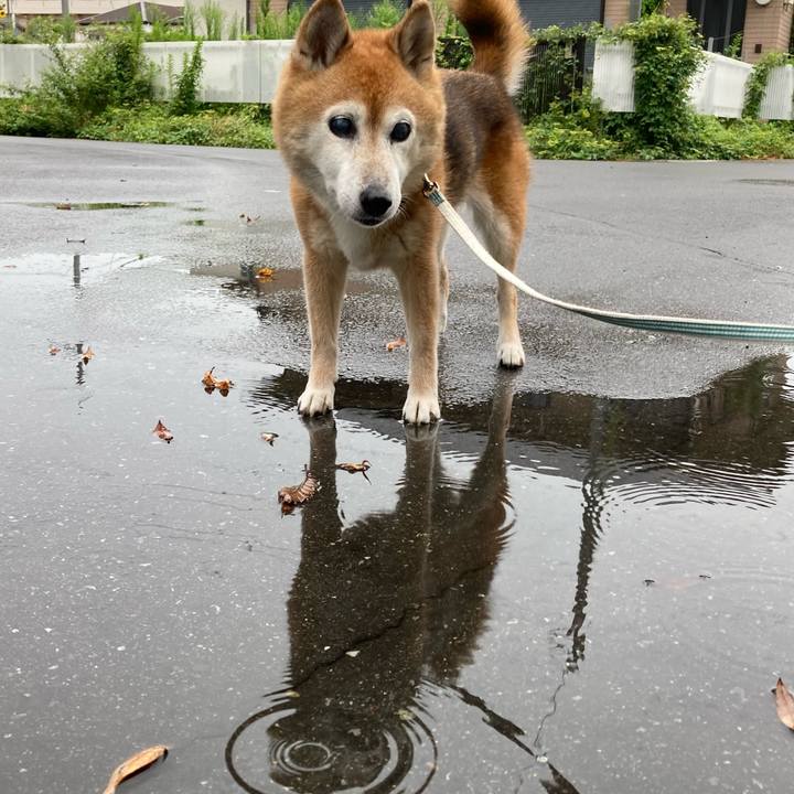 Dc0cef6d 72e8 4b3e 9460 ccfeb76329cf 1754822219680