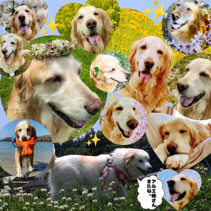 Dc0cfdee 27e4 44ad a60e 5f9a20f58596 1653278282410