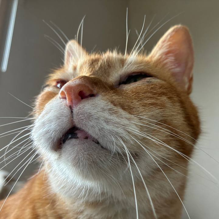 Dc0d4c35 155a 4df4 be4d 9e339463e40f 1750464080957