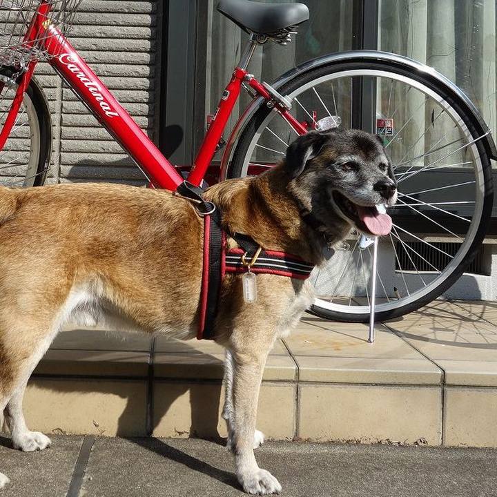 Dc0d53e2 1d6c 46a9 a08c 66bf9d7e89a5 1507769534931