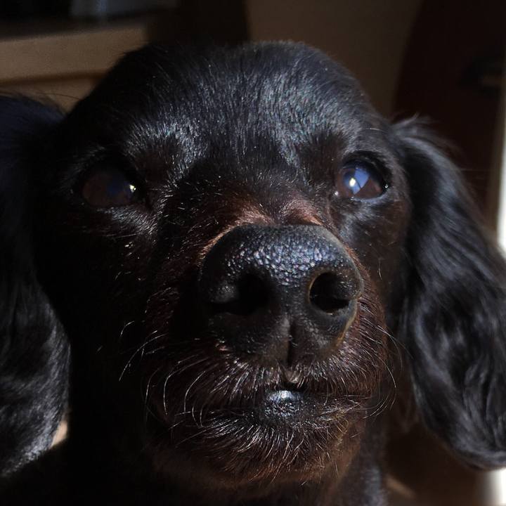 Dc0d9757 67ac 44cd a087 357f9b794bfe 1523665307945