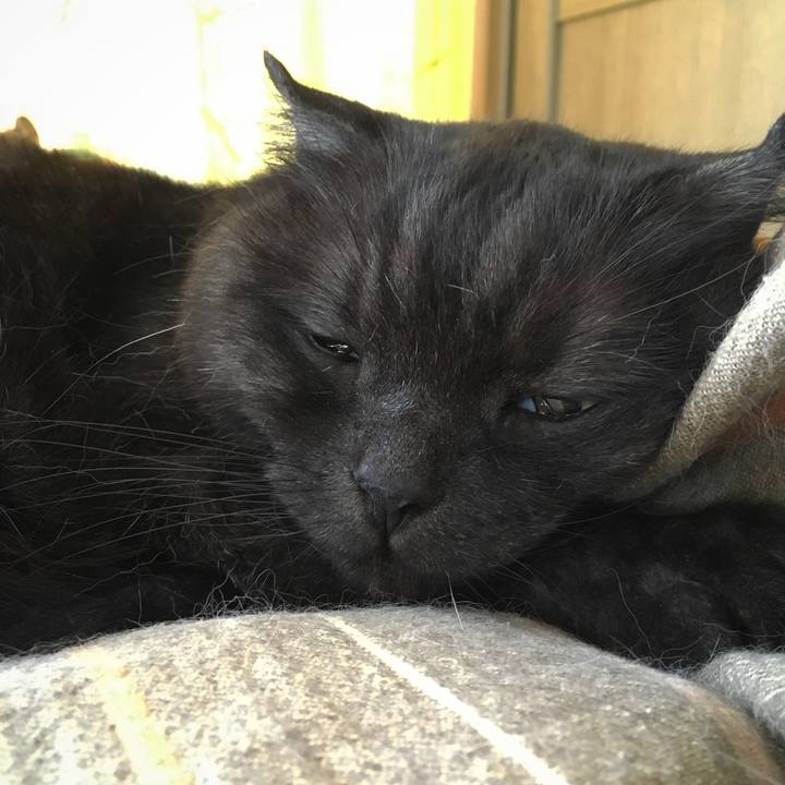 Dc0dc14a 783b 4a84 a74b 9135b0b3112b 1560654839538