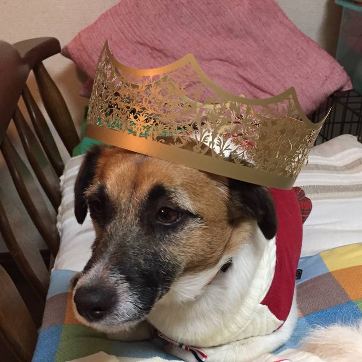 Dc0e1467 0cc2 42b1 9c84 00112fec4620 1546431538030