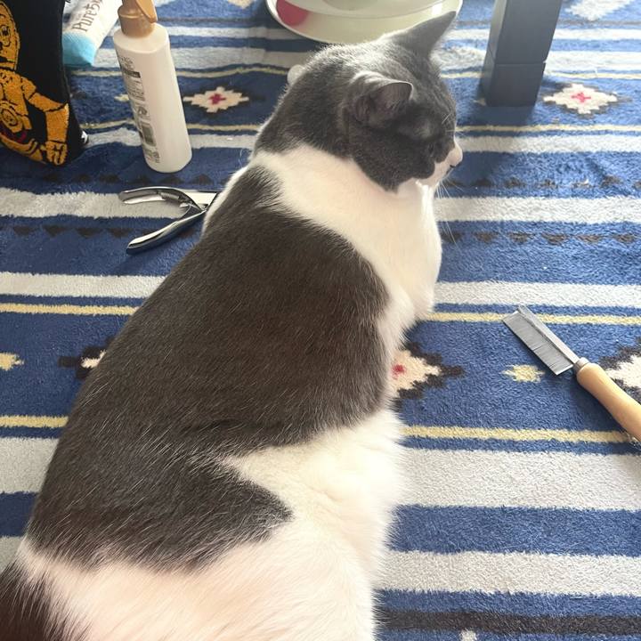 Dc0e1ecf c23a 47f0 b2d5 adcbfff4bb49 1664679613360