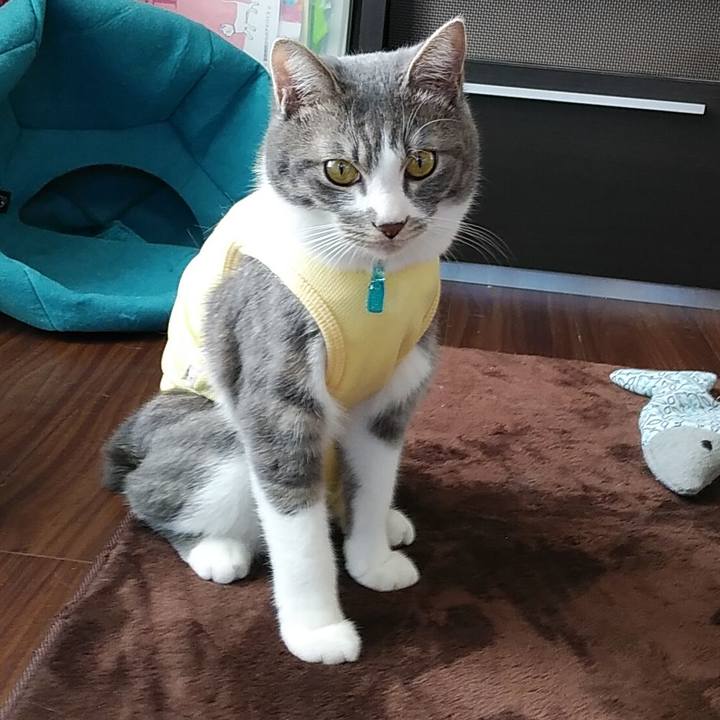 Dc0e387a 9257 4bd4 ac32 705566875dfb 1584600949504