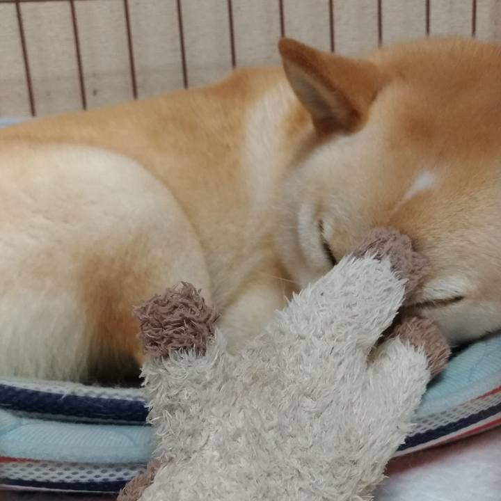 Dc0e3a45 d7bf 4d3e 8cfd 77dc4330a008 1566733470194