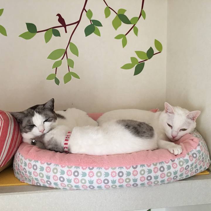 Dc0e40fb 545a 4c18 bd25 6580df8d033d 1510620418191