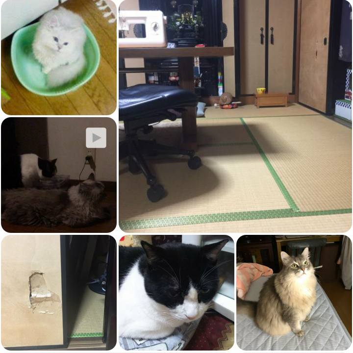 Dc0e5b67 ee84 4e07 b932 e07c6afa196a 1569406184905