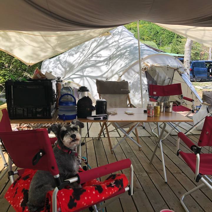 Dc0e636c 7e1c 437e 90e6 d6f098fb9a0a 1714712154681