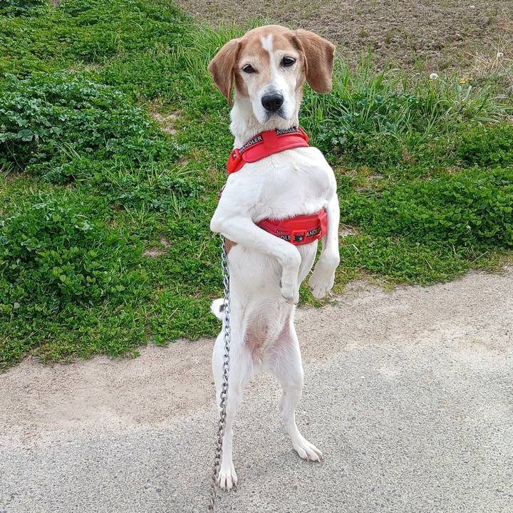 Dc0e7a5b 36d1 4698 b4d9 56f95bce5670 1774239670621