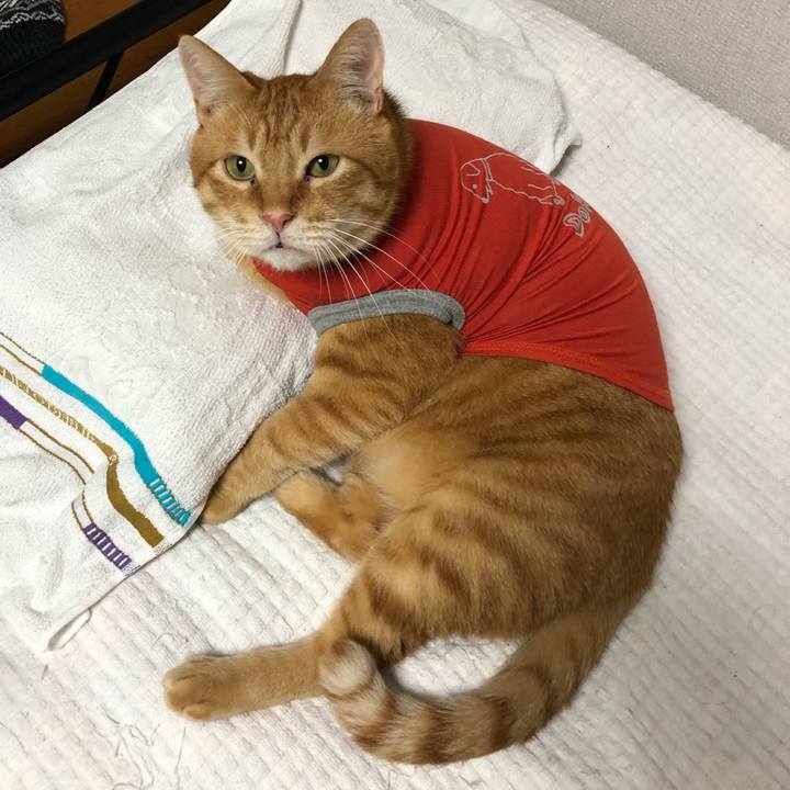 Dc0ebc47 d10d 49bc 90f6 c57071325eb1 1591629594719