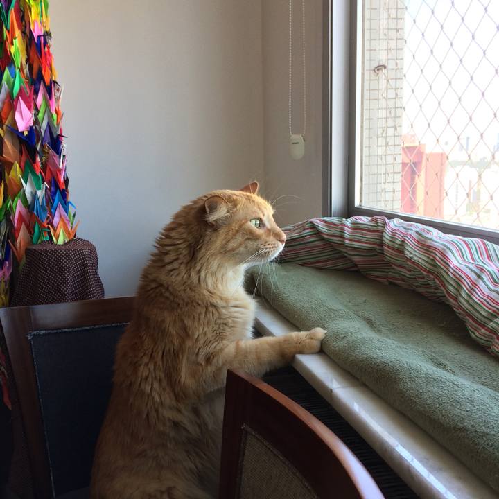 Dc0ed77a 0f1c 45ba 84fe 71d0ff56ef88 1536331467392