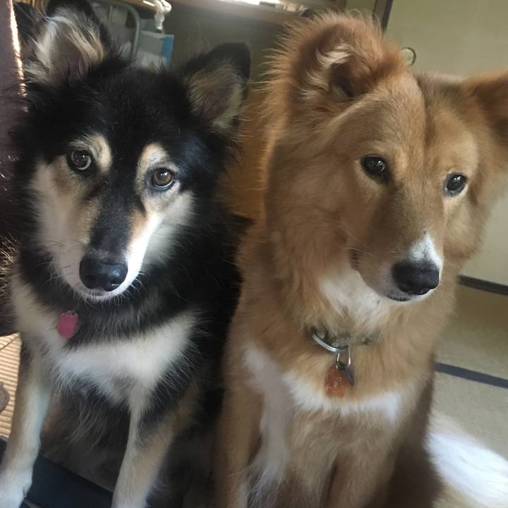 Dc0ee744 17b1 4150 9a71 ba65304cc0c9 1534128165097